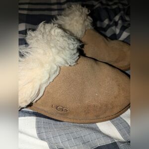 UGG slippers